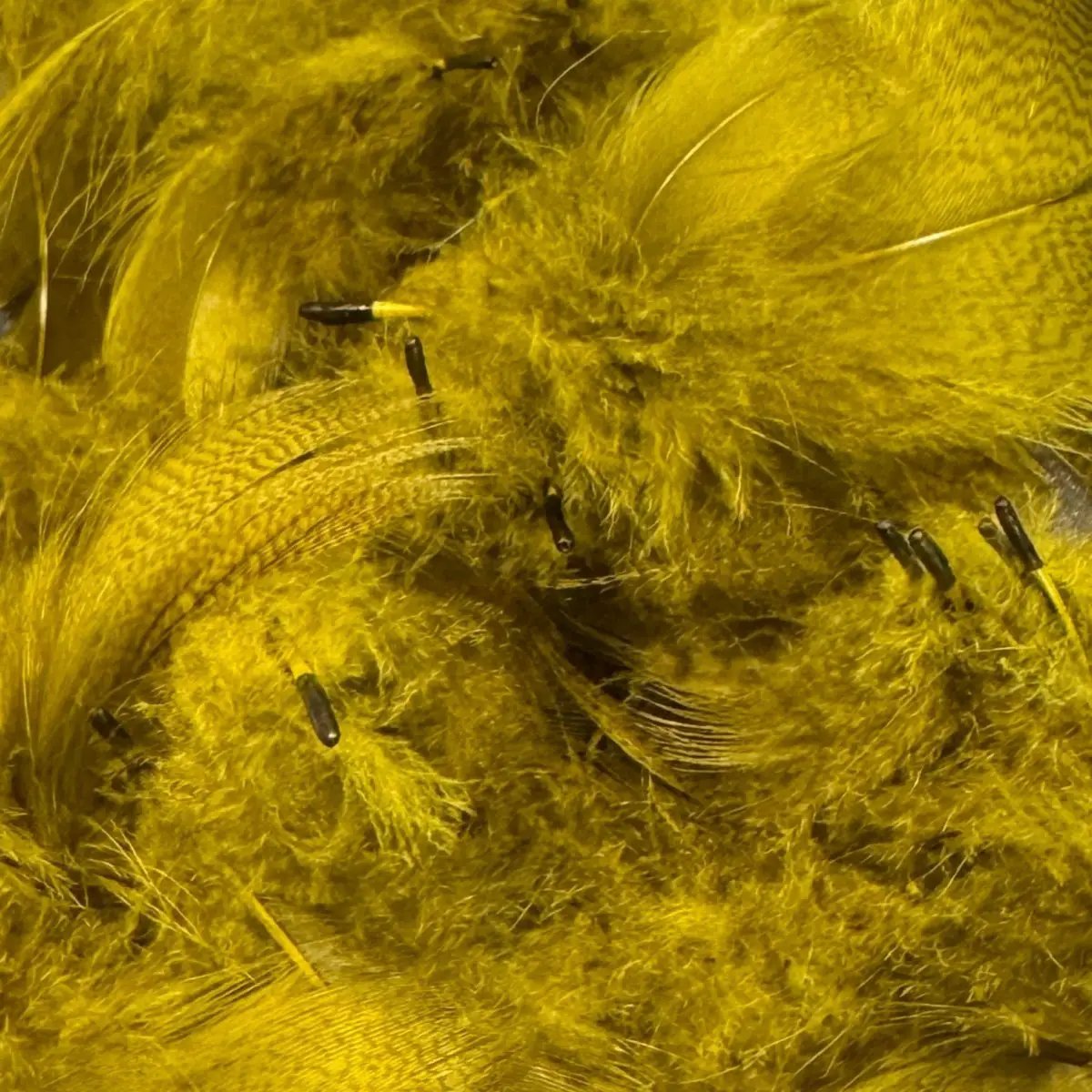 Dyed Mallard Flank by Hareline Dubbin