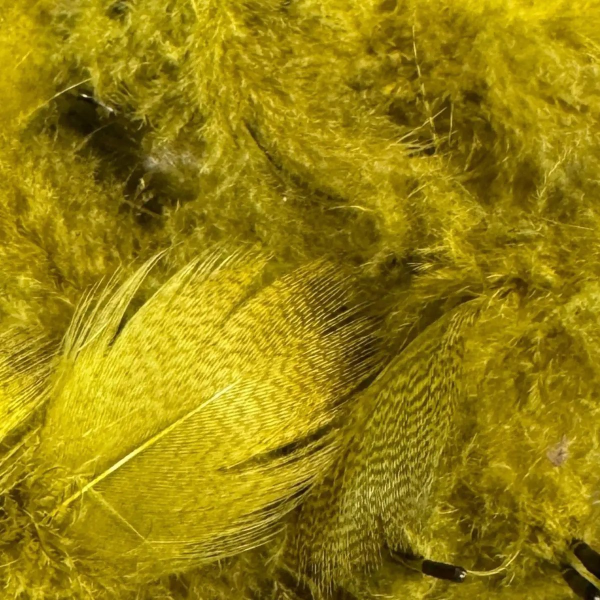 Dyed Mallard Flank by Hareline Dubbin