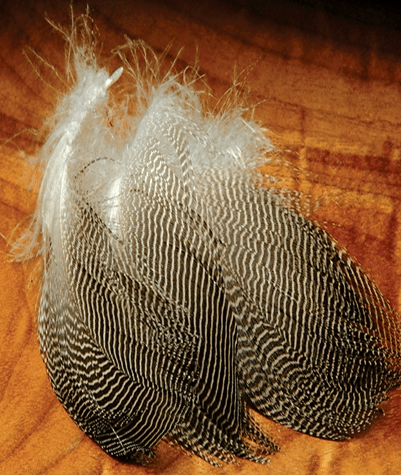 Wapsi - Gadwall Flank - Feather Craft Fly Fishing