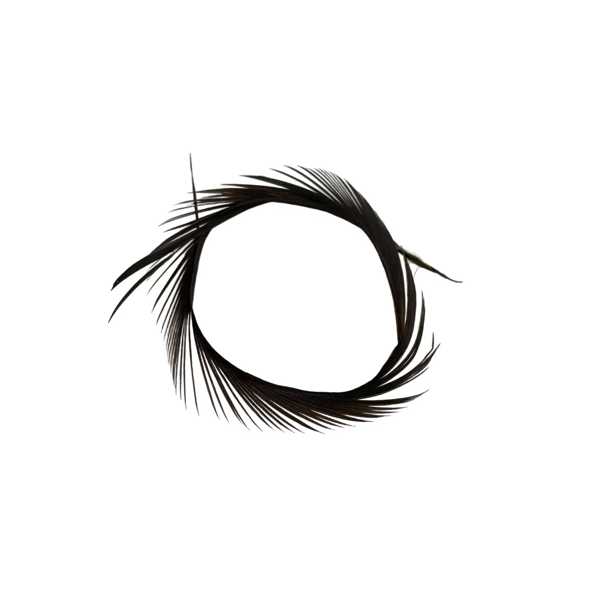 Wapsi - Goose Biots - Feather Craft Fly Fishing