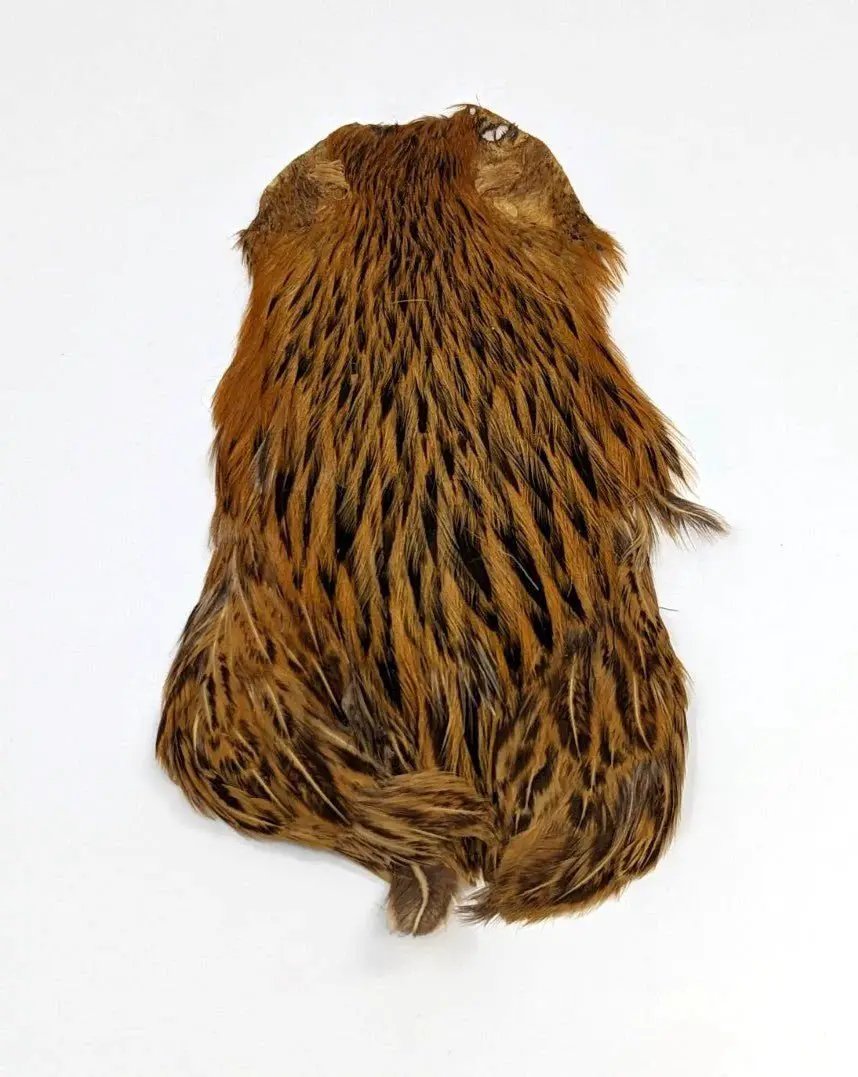 Wapsi - India Hen Necks - Feather Craft Fly Fishing