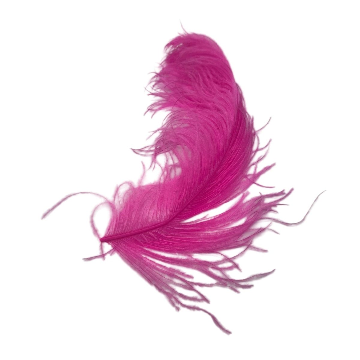 Wapsi - Large Ostrich Plumes - Feather Craft Fly Fishing