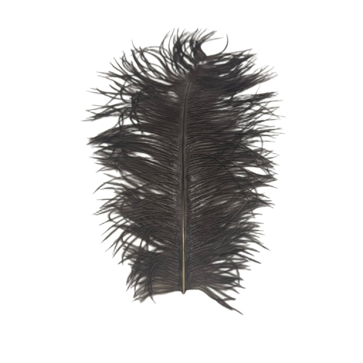 Wapsi - Large Ostrich Plumes - Feather Craft Fly Fishing