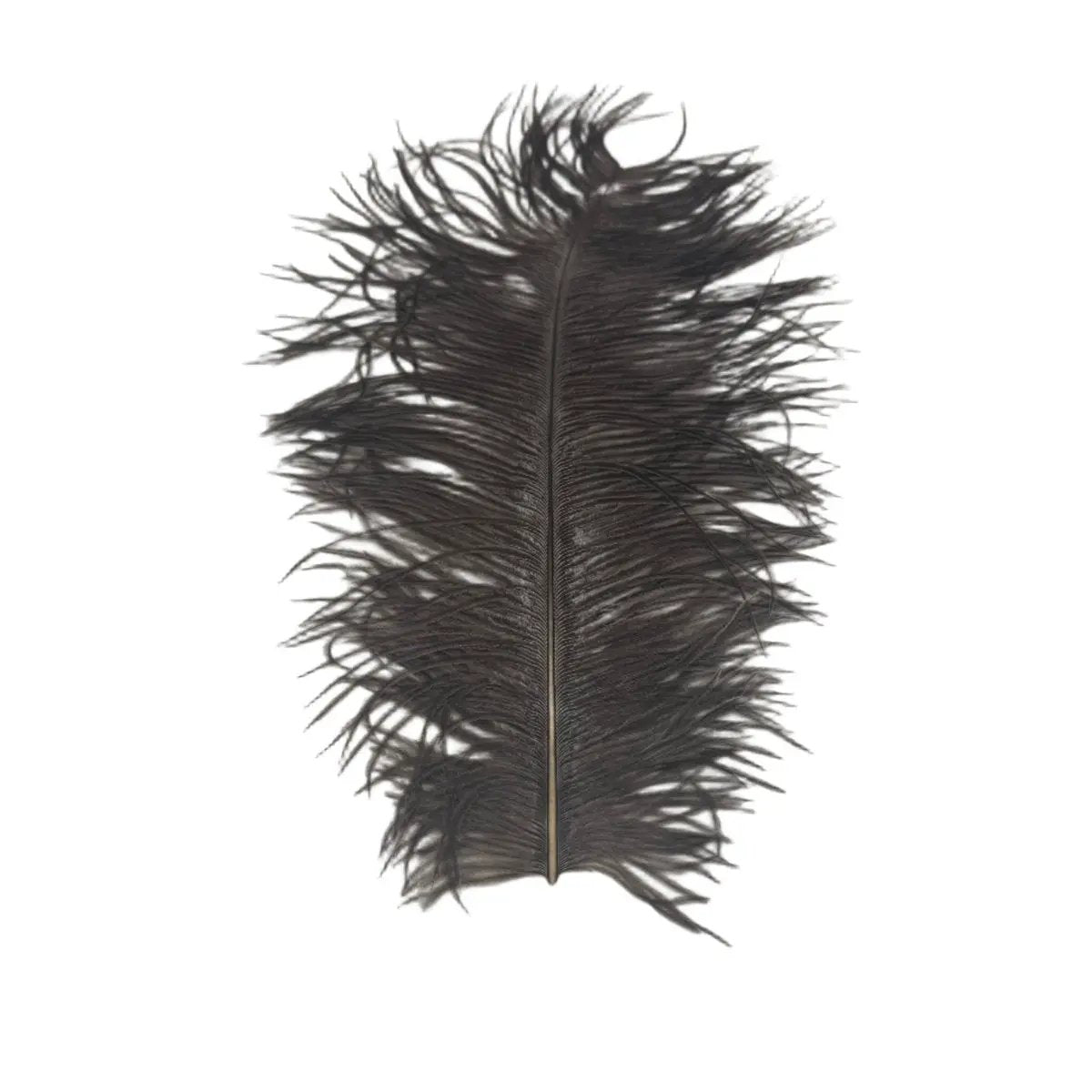 Large Ostrich Plumes by Wapsi