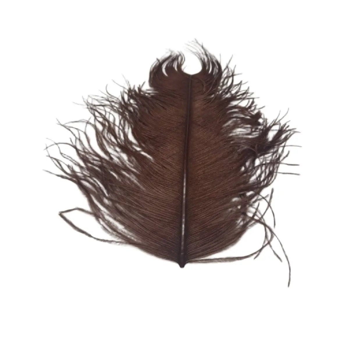 Large Ostrich Plumes by Wapsi