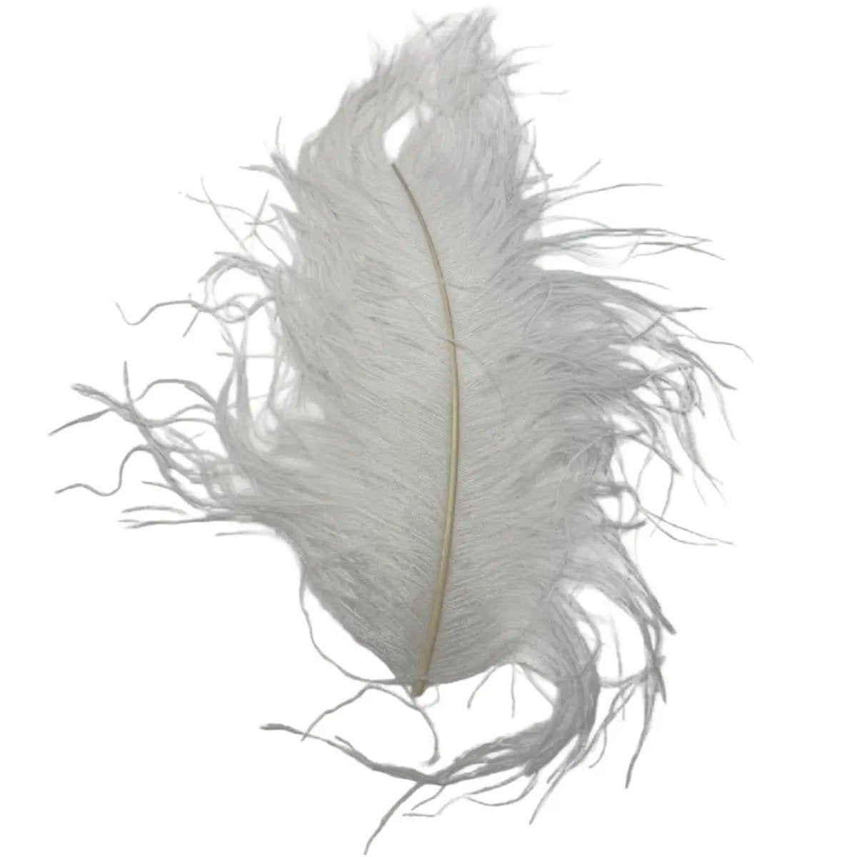Large Ostrich Plumes by Wapsi