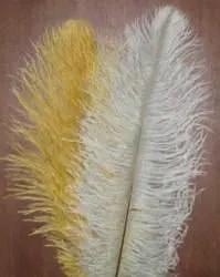 Med Ostrich Plumes by Wapsi
