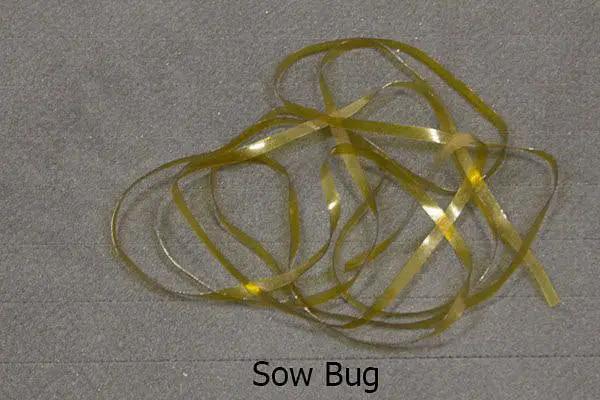 Micro 5/64" Sow Scud Back by Wapsi