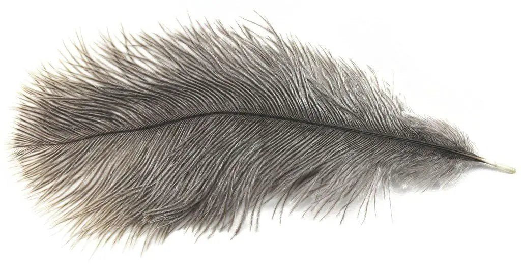 Mini Ostrich Plumes by Wapsi