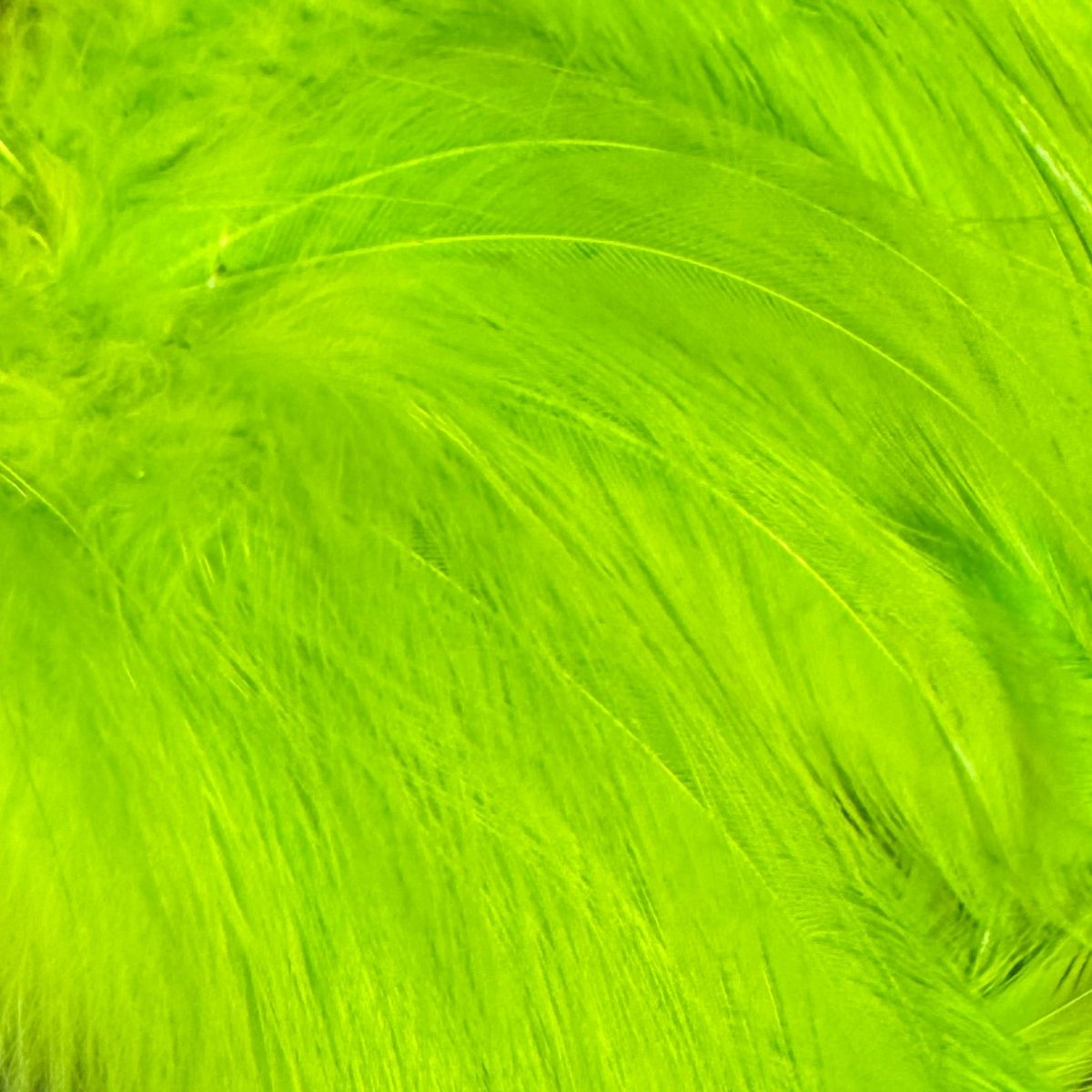 Wapsi - Saltwater Neck Hackle - Feather Craft Fly Fishing