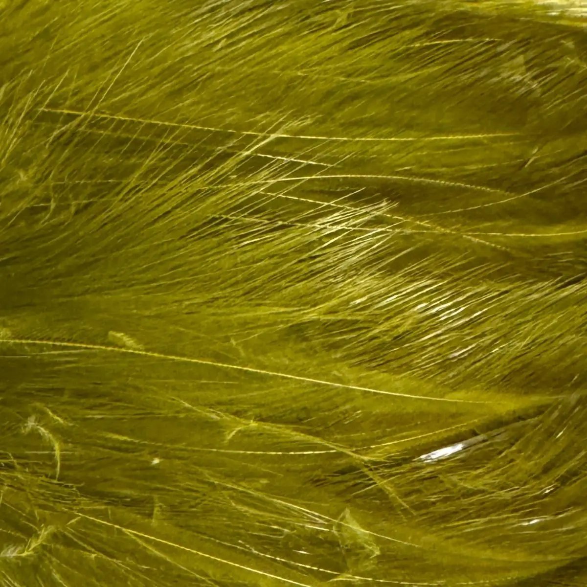 Saltwater Neck Hackle by Wapsi