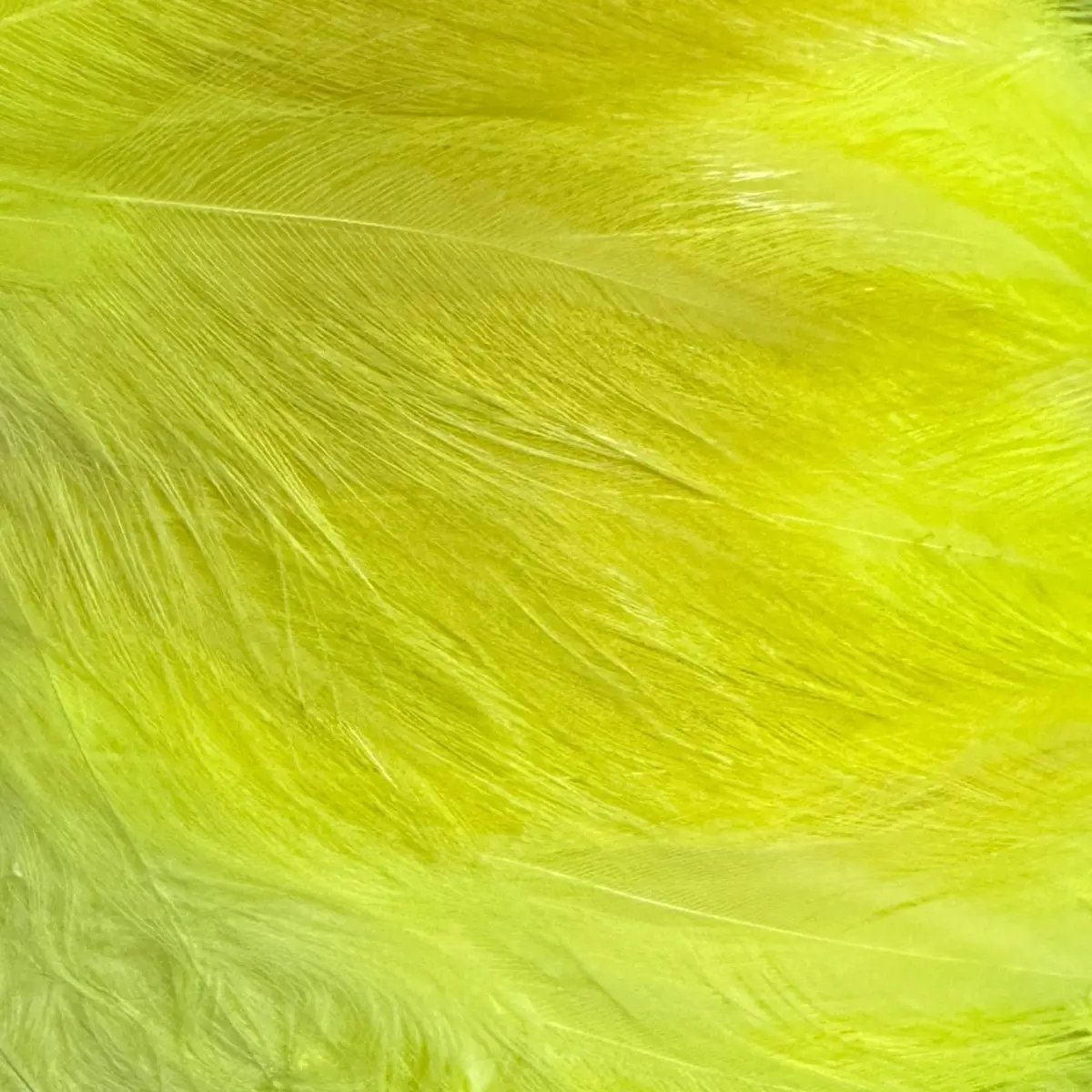 Saltwater Neck Hackle by Wapsi