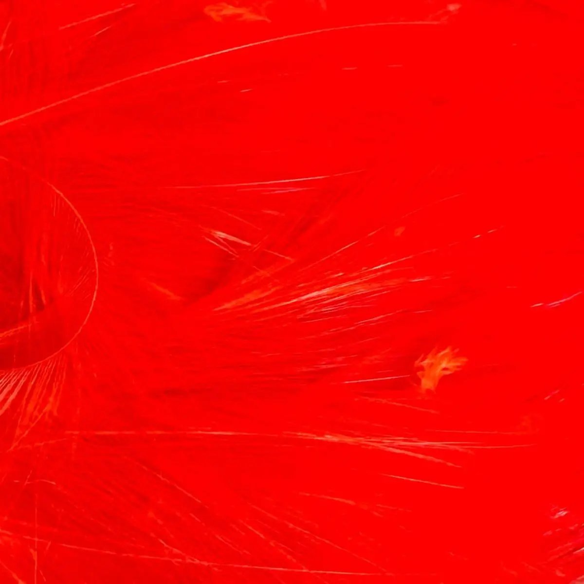 Saltwater Neck Hackle by Wapsi