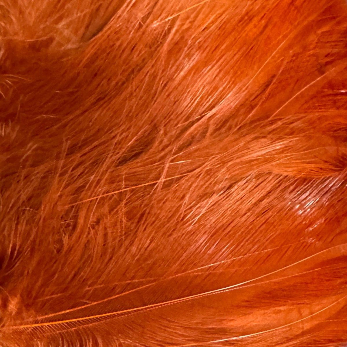 Wapsi - Saltwater Neck Hackle - Feather Craft Fly Fishing