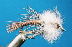 Wapsi - Strung Ringneck Pheasant Rump - Feather Craft Fly Fishing