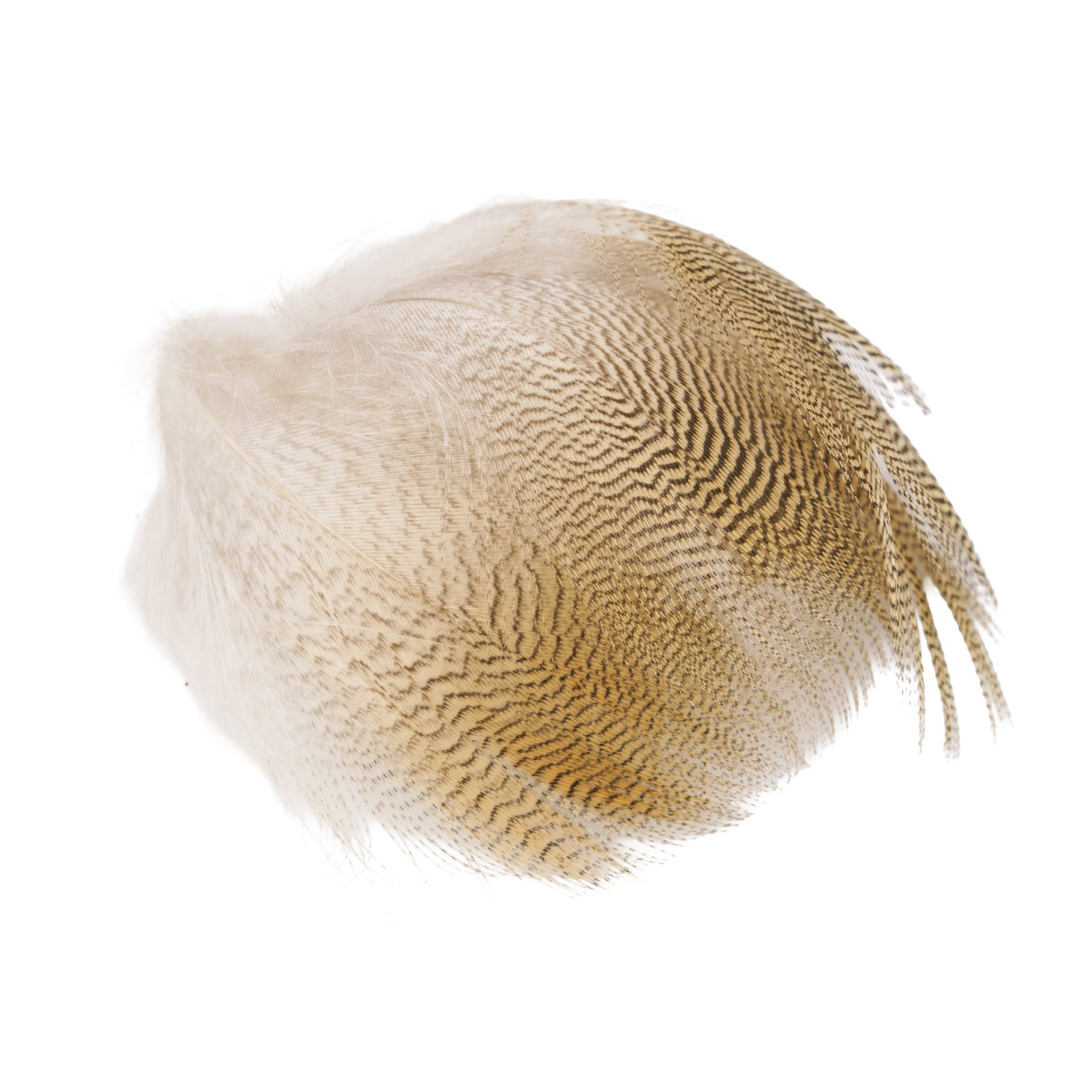 Wapsi - Wapsi Lemon Woodduck Flank - Feather Craft Fly Fishing