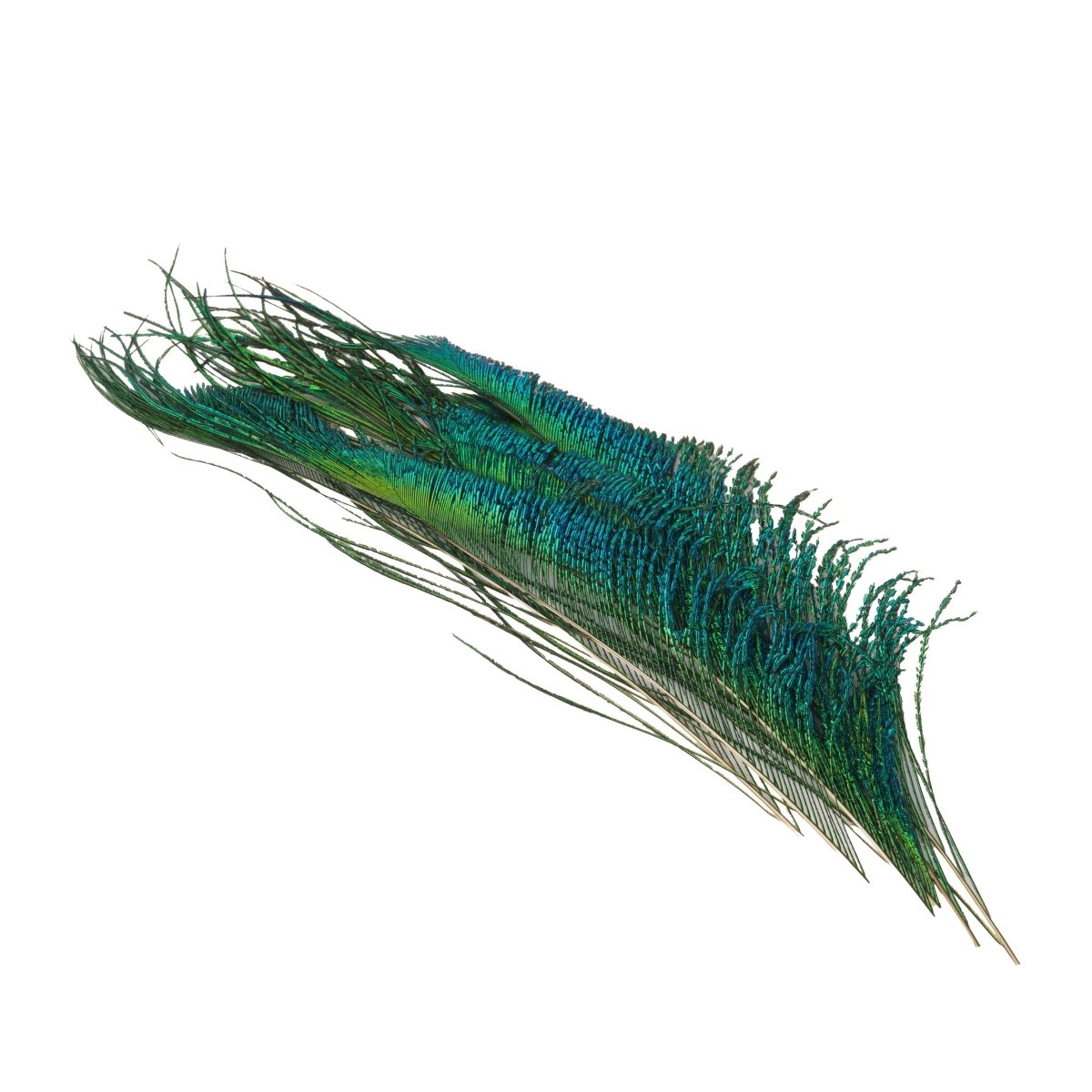 Wapsi - Wapsi Peacock Swords - Feather Craft Fly Fishing