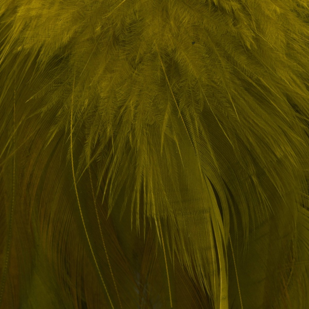 Wapsi - Wapsi Strung Rooster Saddles Long - Feather Craft Fly Fishing