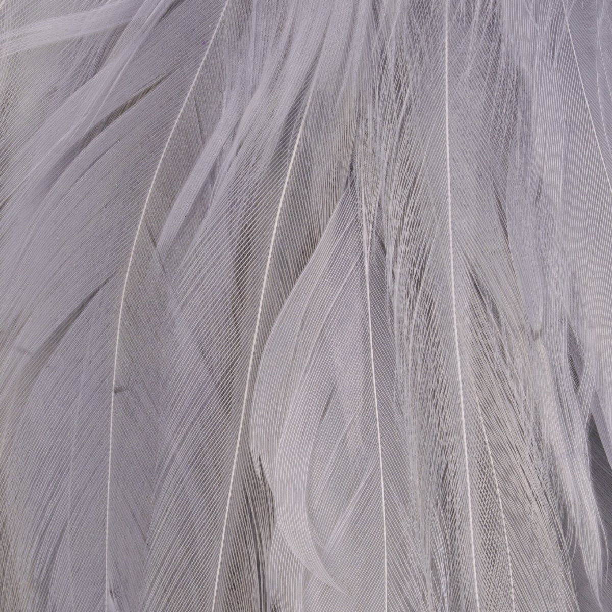 Wapsi - Wapsi Strung Rooster Saddles Long - Feather Craft Fly Fishing