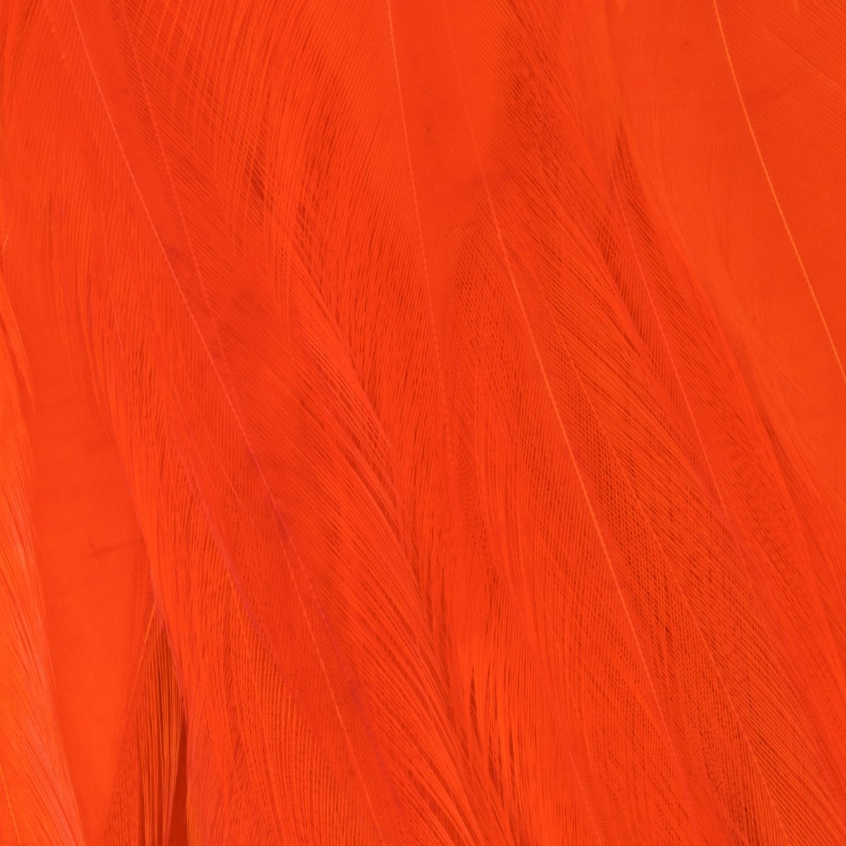 Wapsi - Wapsi Strung Rooster Saddles Long - Feather Craft Fly Fishing