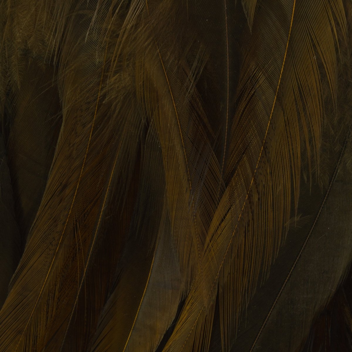 Wapsi - Wapsi Strung Rooster Saddles Long - Feather Craft Fly Fishing