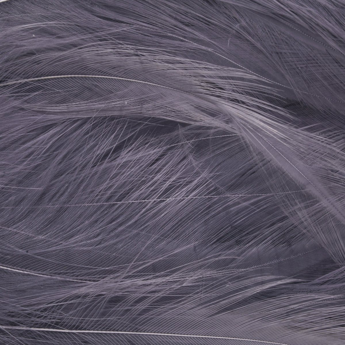 Wapsi - Wapsi Strung Saltwater Neck Hackle - Feather Craft Fly Fishing