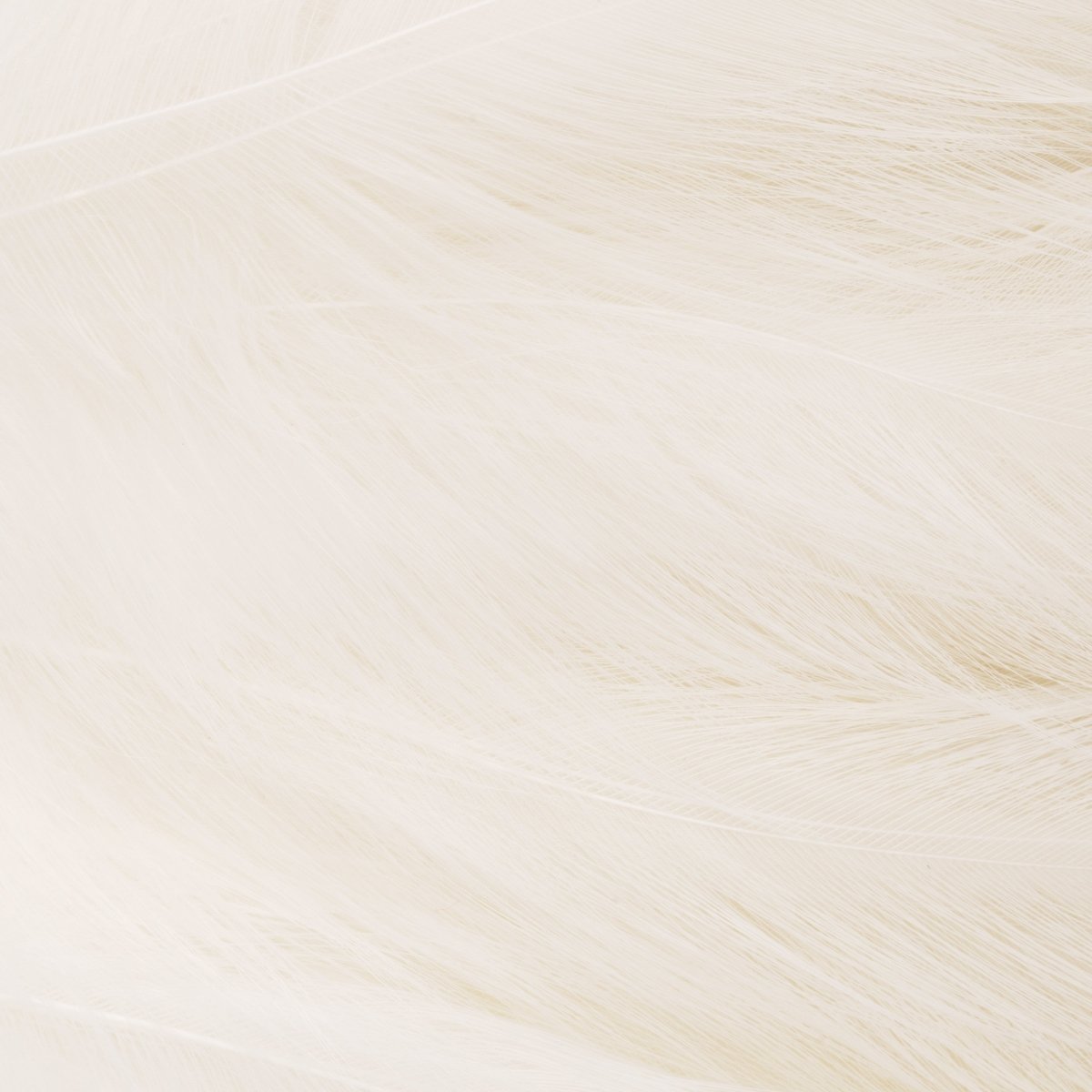 Wapsi - Wapsi Strung Saltwater Neck Hackle - Feather Craft Fly Fishing