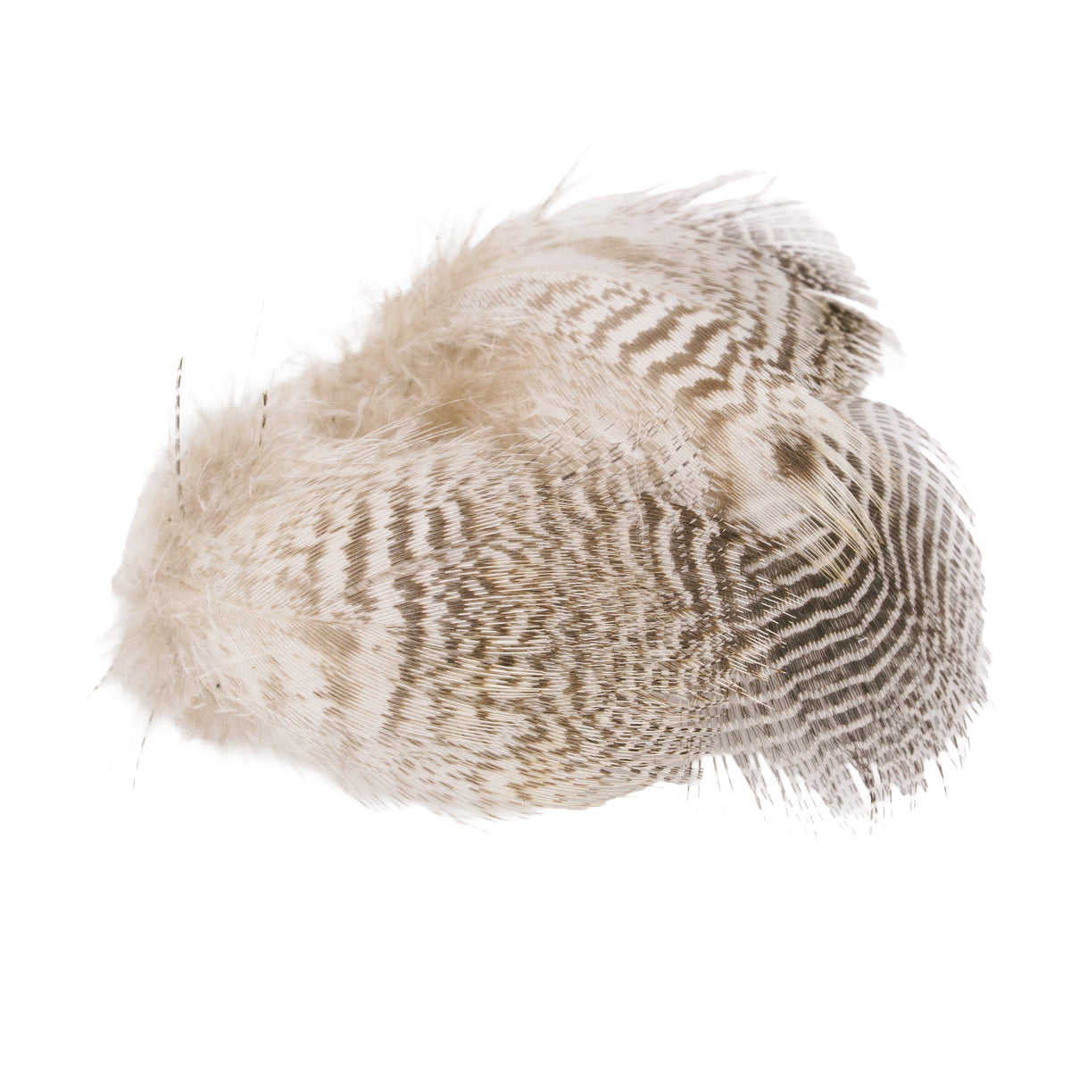 Wapsi - Wapsi Teal Barred Flank - Natural - Feather Craft Fly Fishing