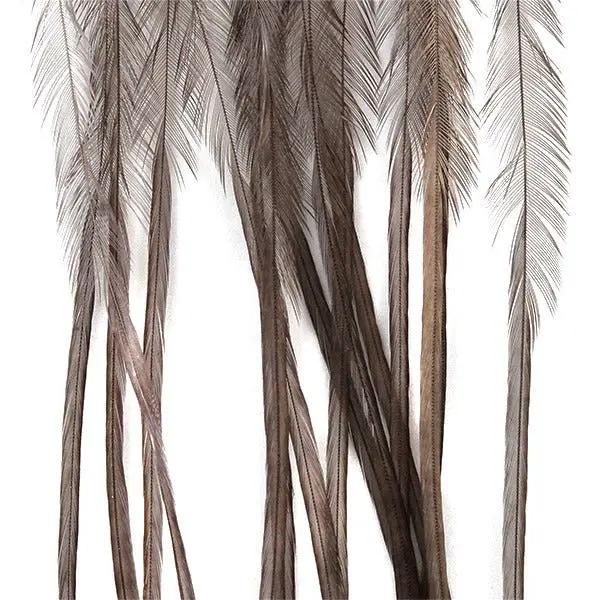 Whiting 100 Pack by Whiting