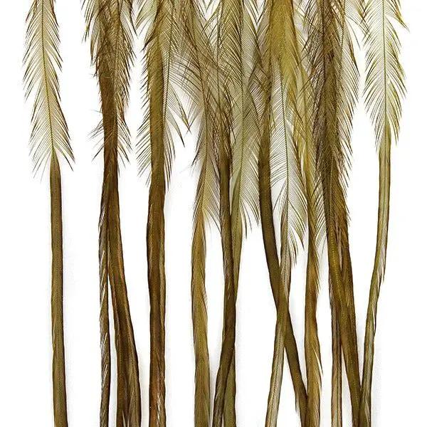 Whiting 100 Pack by Whiting