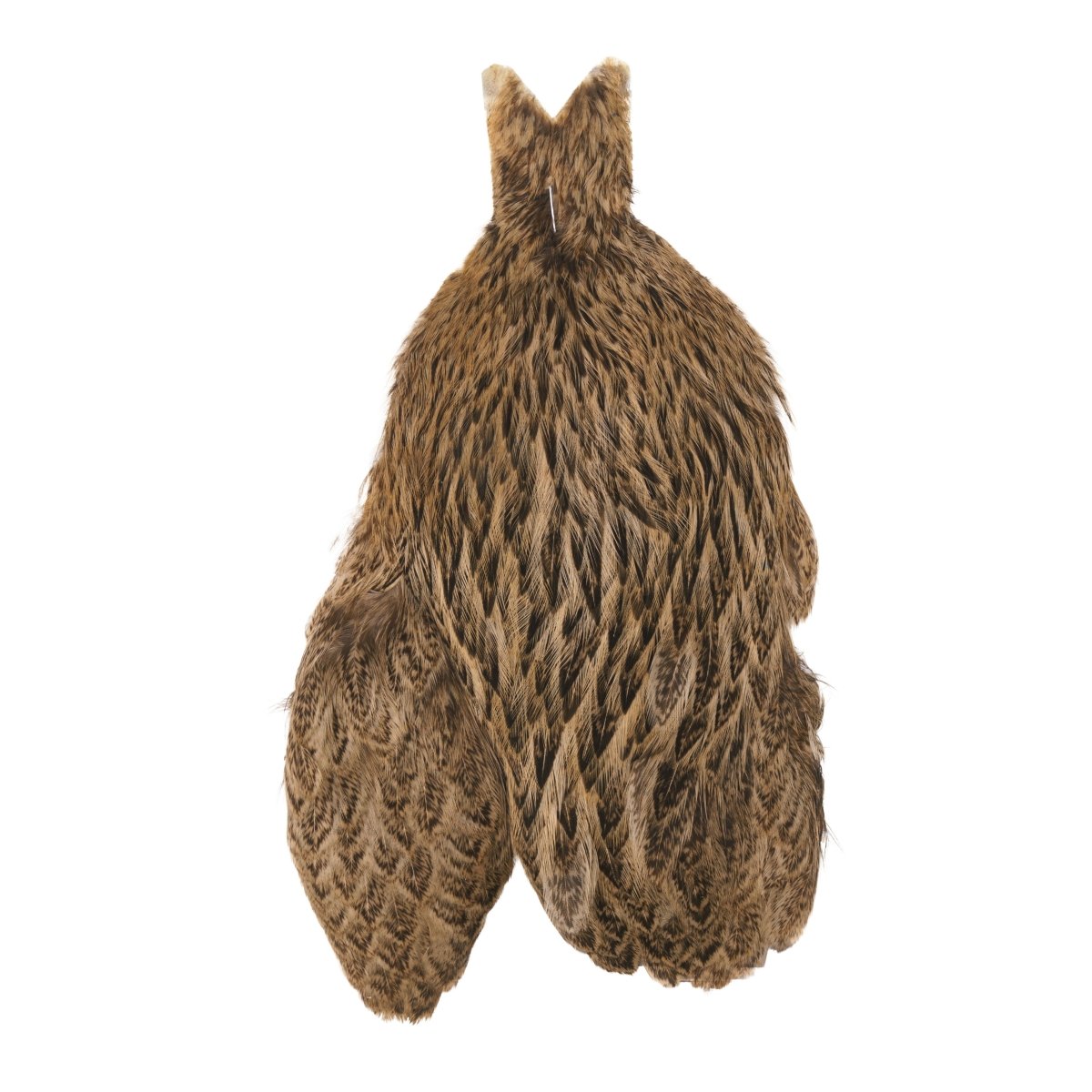 Whiting - Whiting Brahma Hen Cape - Feather Craft Fly Fishing