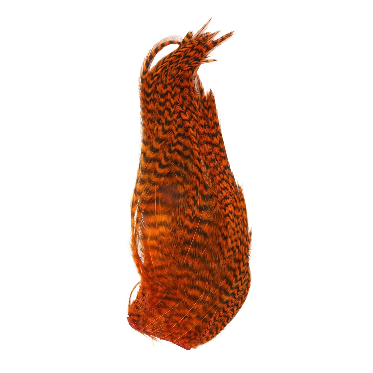 Whiting - Whiting Bugger Pack - Feather Craft Fly Fishing