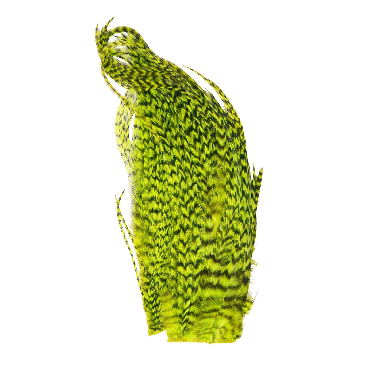 Whiting - Whiting Bugger Pack - Feather Craft Fly Fishing
