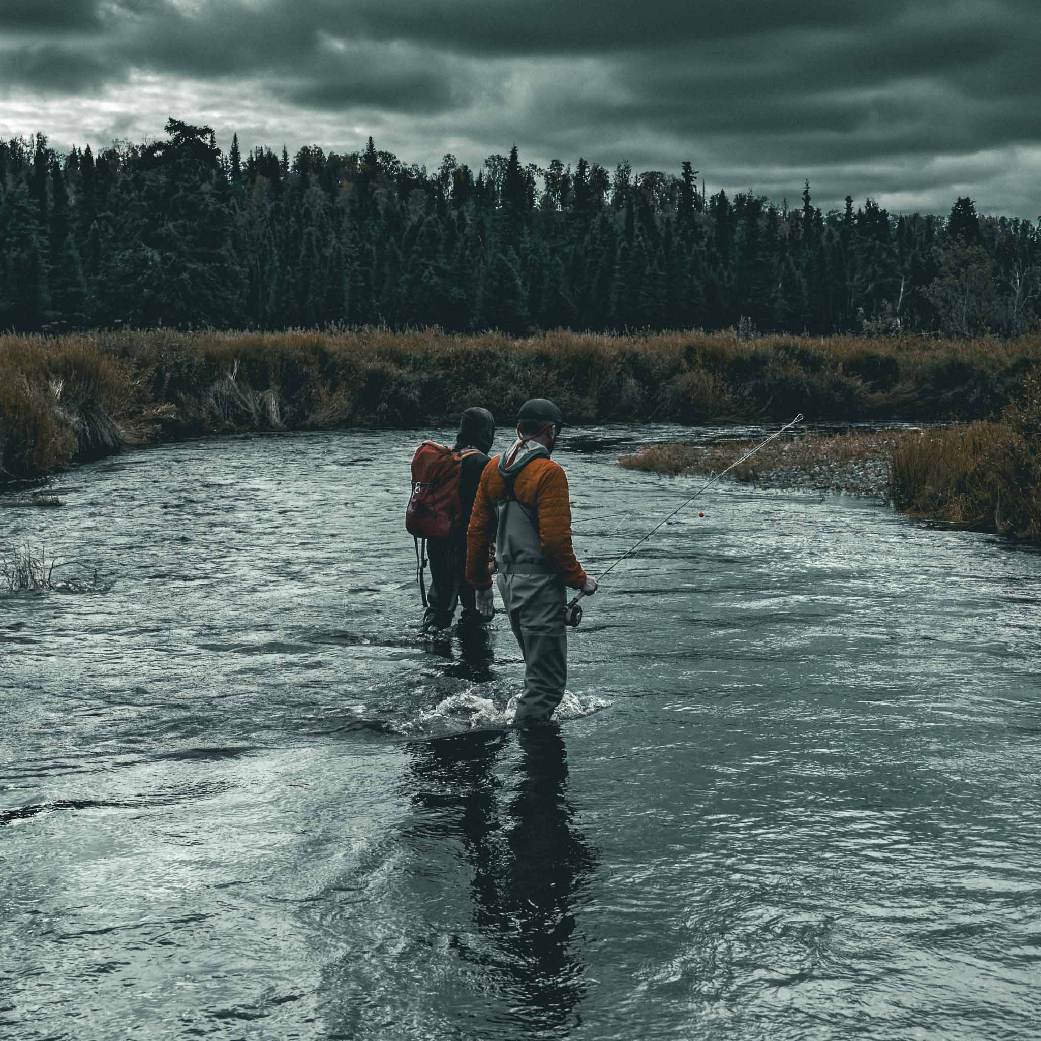 Pursuit: Alaskan Steelhead