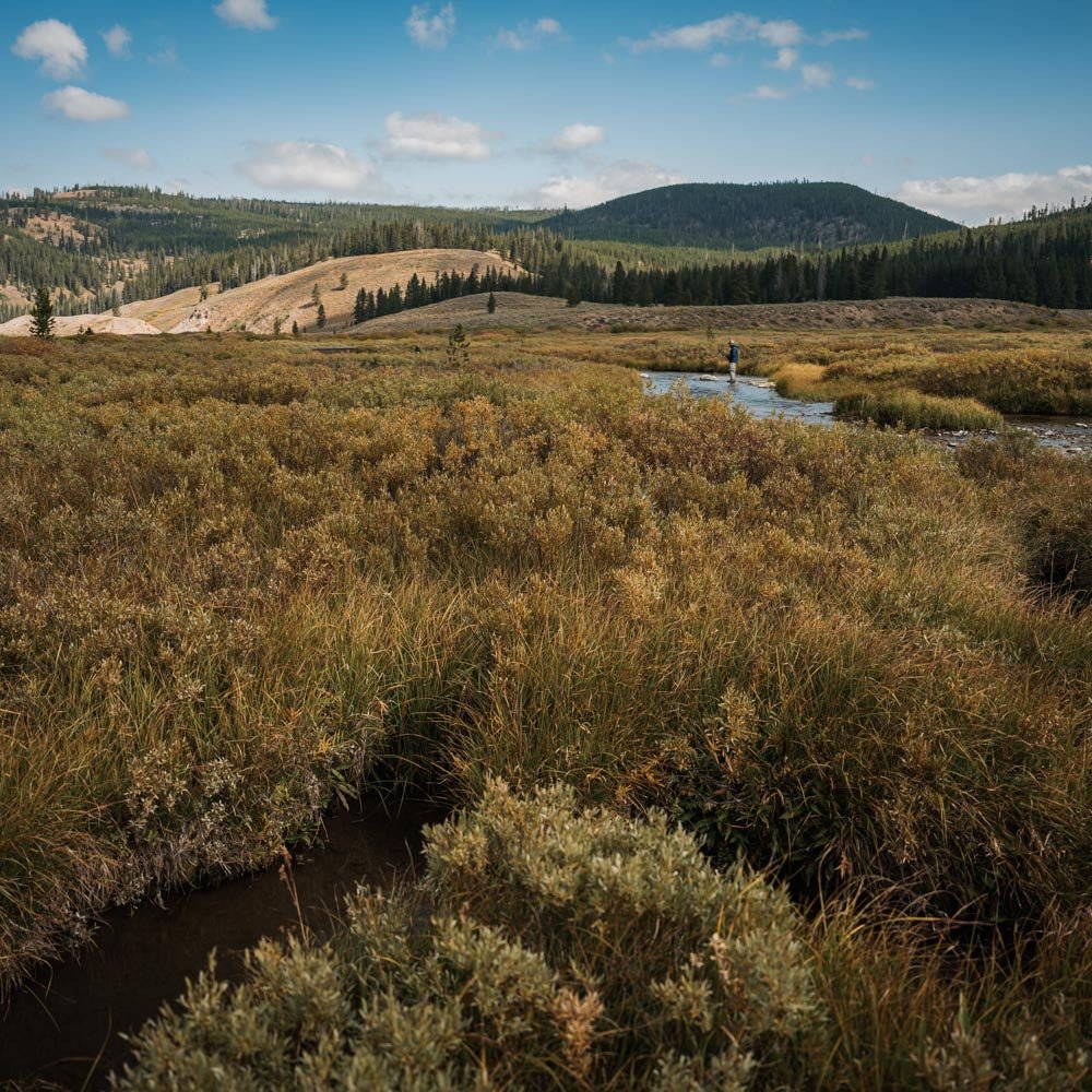 Fly Fishing in the Upper Yellowstone Watershed: Conservation and Sustainability Efforts - Feather Craft Fly Fishing