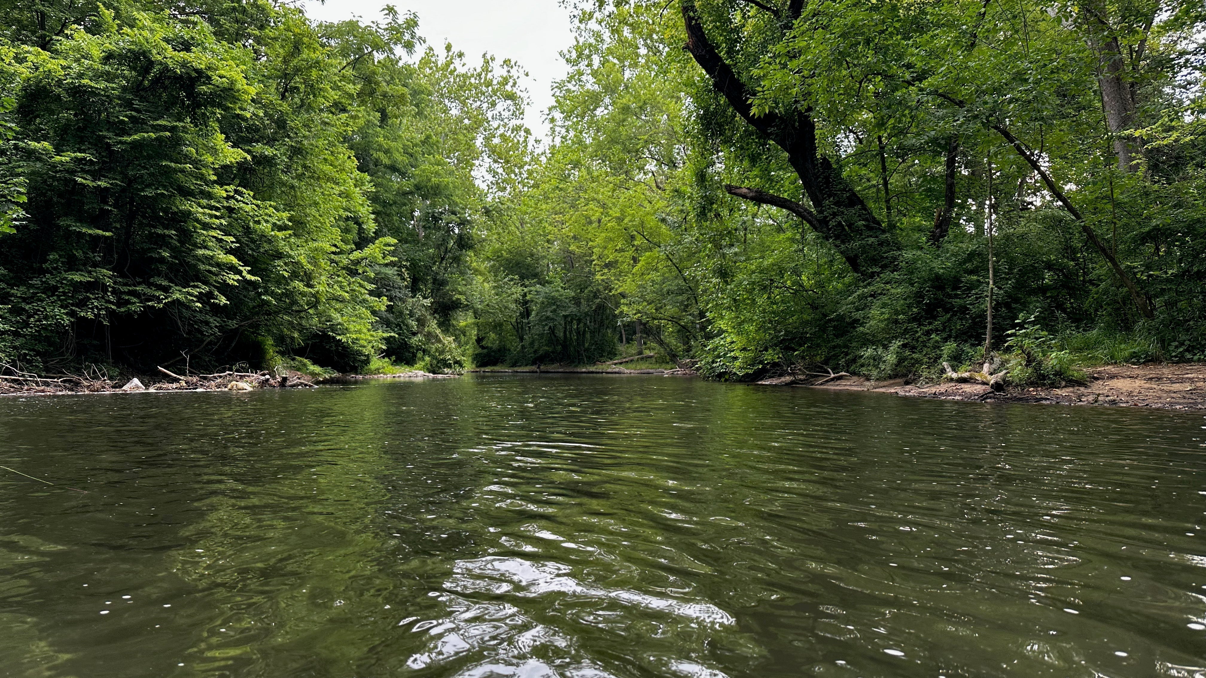 Gearing Up For Spring - Feather Craft Fly Fishing