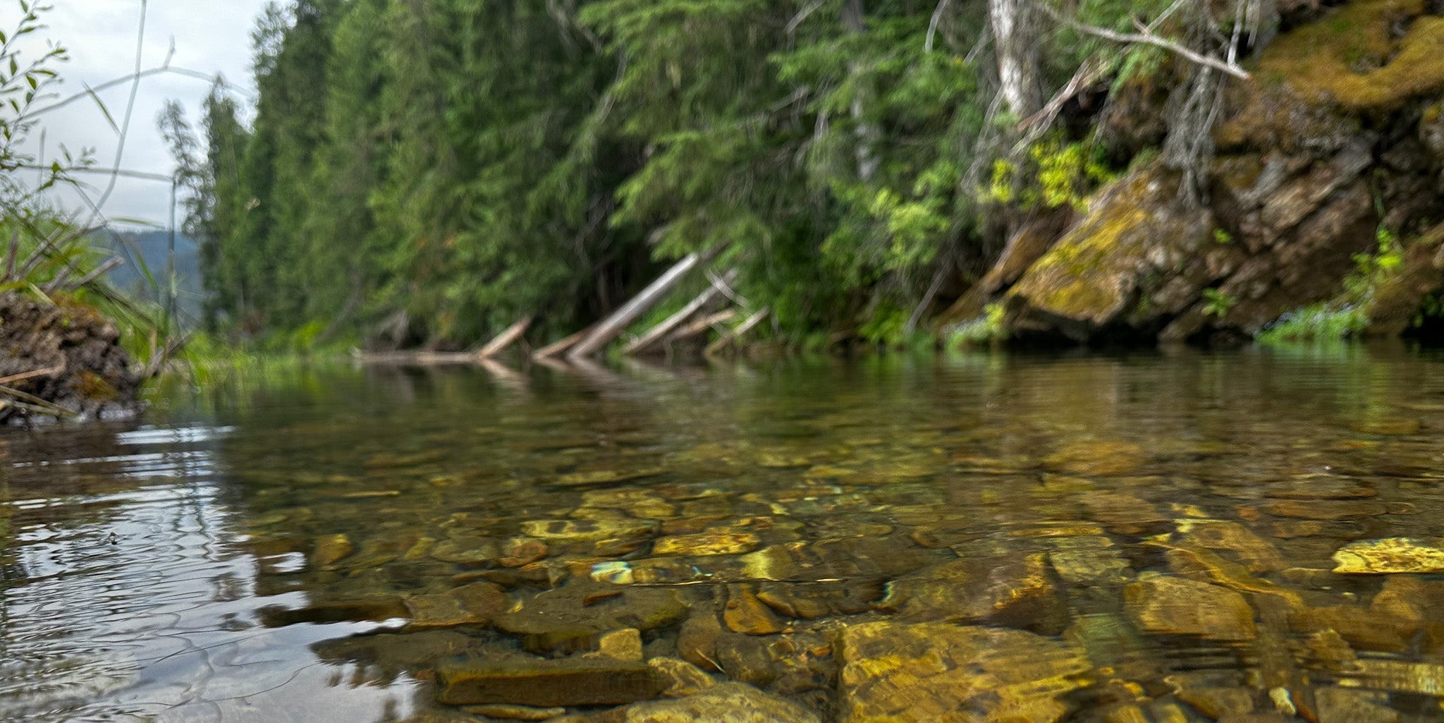 How to Read Water Like a Guide for Fly Fishing Success - Feather Craft Fly Fishing