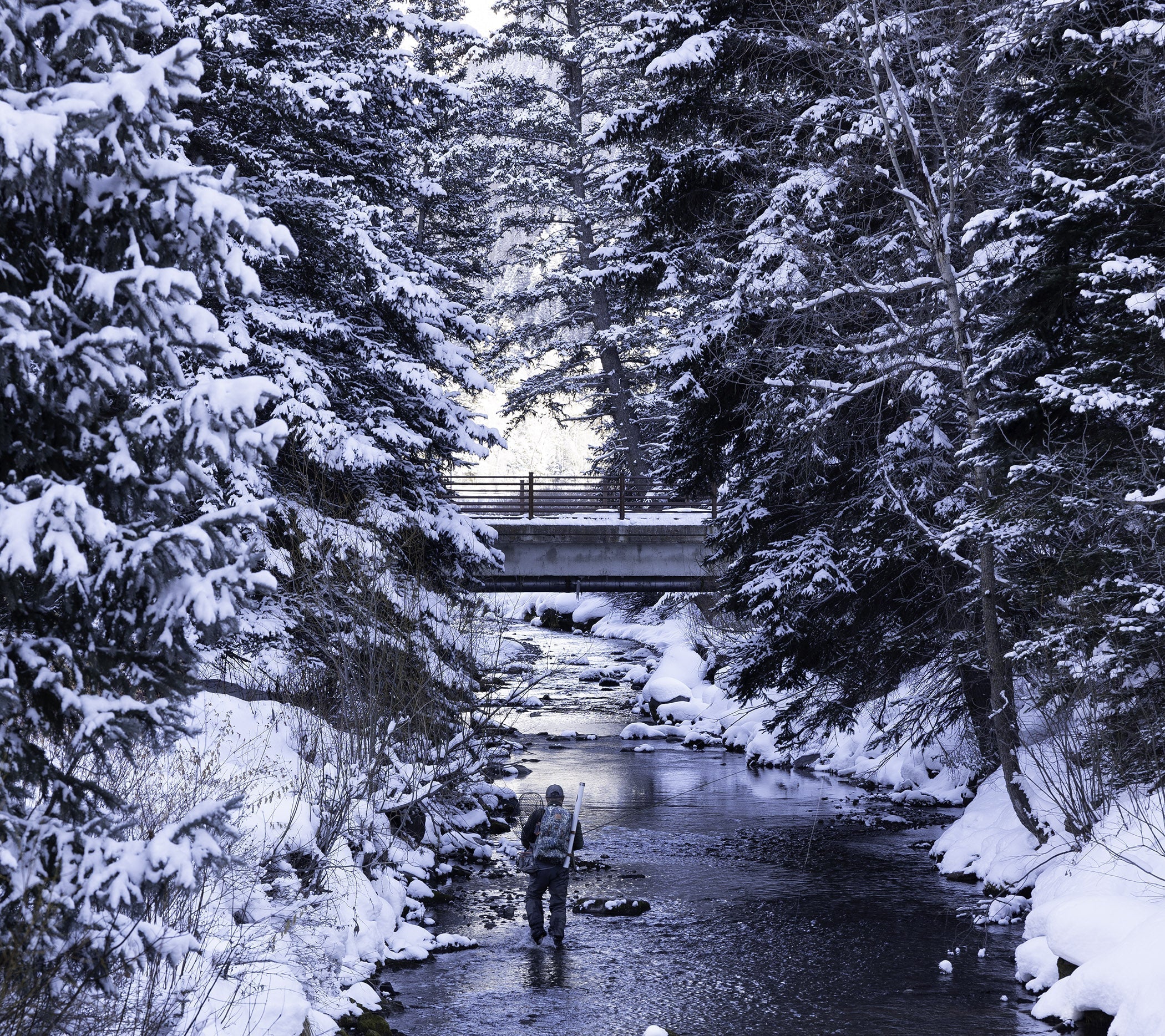 Winter Fly Fishing: Embrace the Cold - Feather Craft Fly Fishing