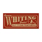 Whiting