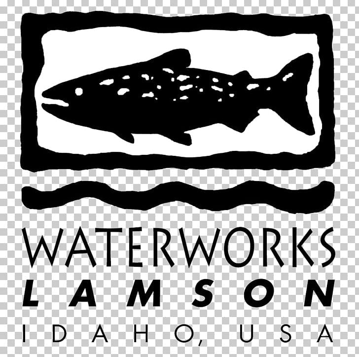 Lamson Fly Rods - Feather Craft Fly Fishing