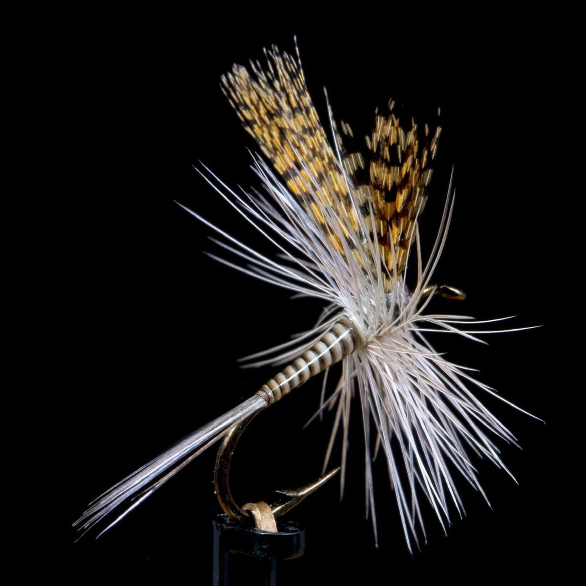 Mayflies Collection Mayflies – Feather Craft Fly Fishing
