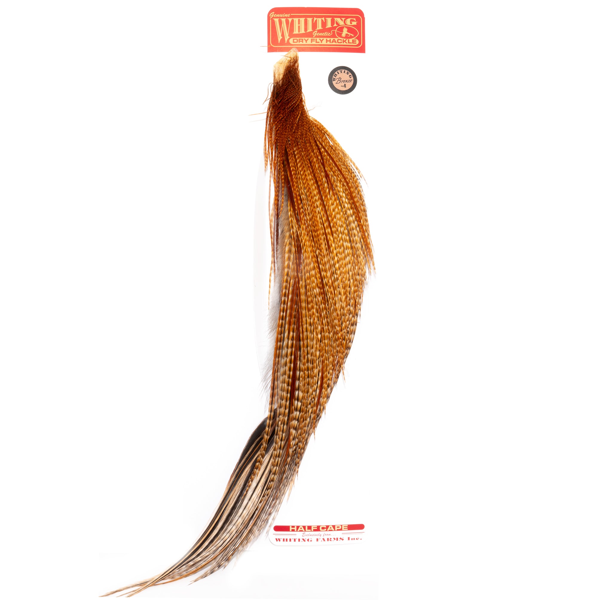 Whiting Barred Dark Ginger Half Cape – Feather Craft Fly Fishing