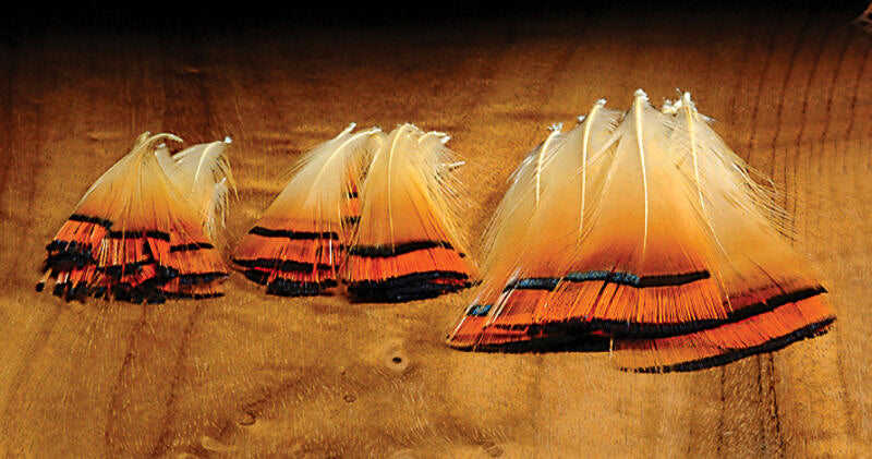 Golden Pheasant Tippets - Feather Craft Fly Fishing