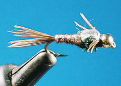 Tungsten Beads 10-Pack - Feather Craft Fly Fishing