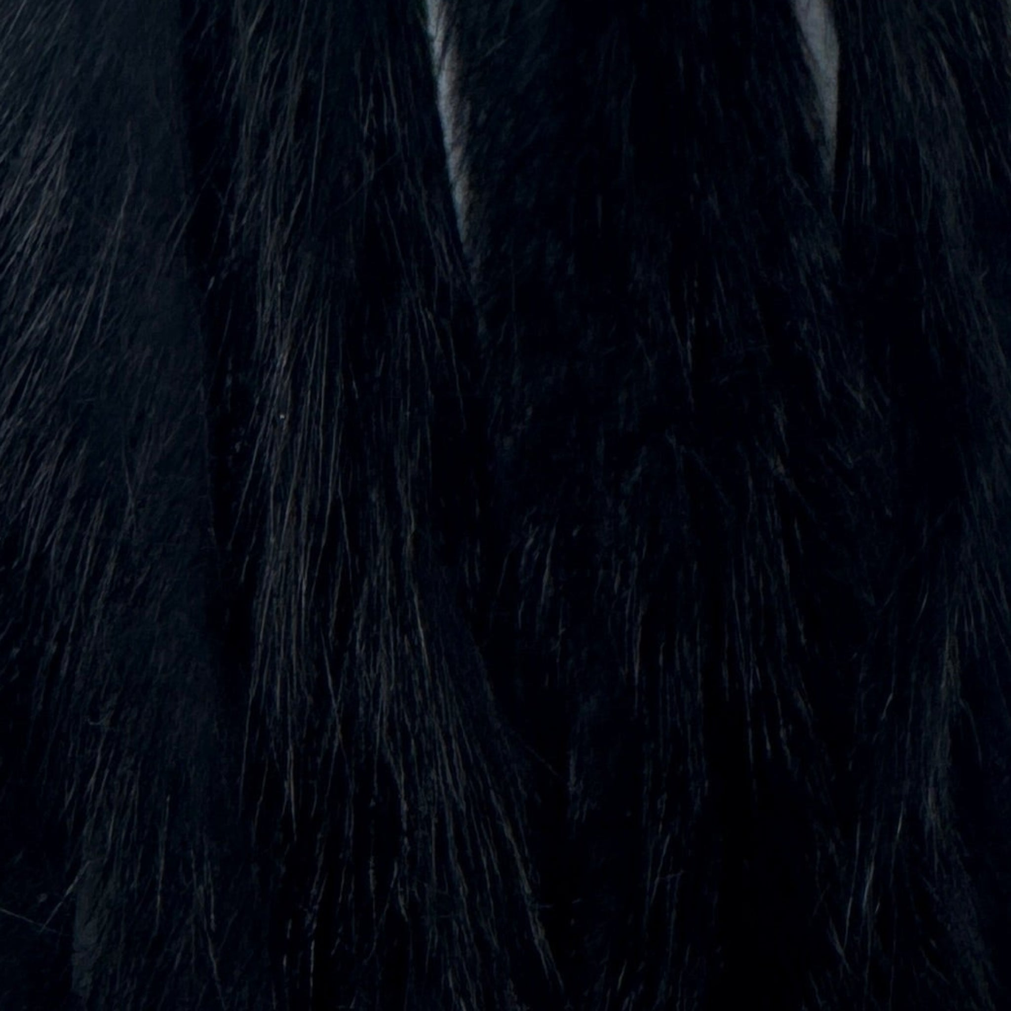 Black Squirrel Skins Zonked for Fly Tying