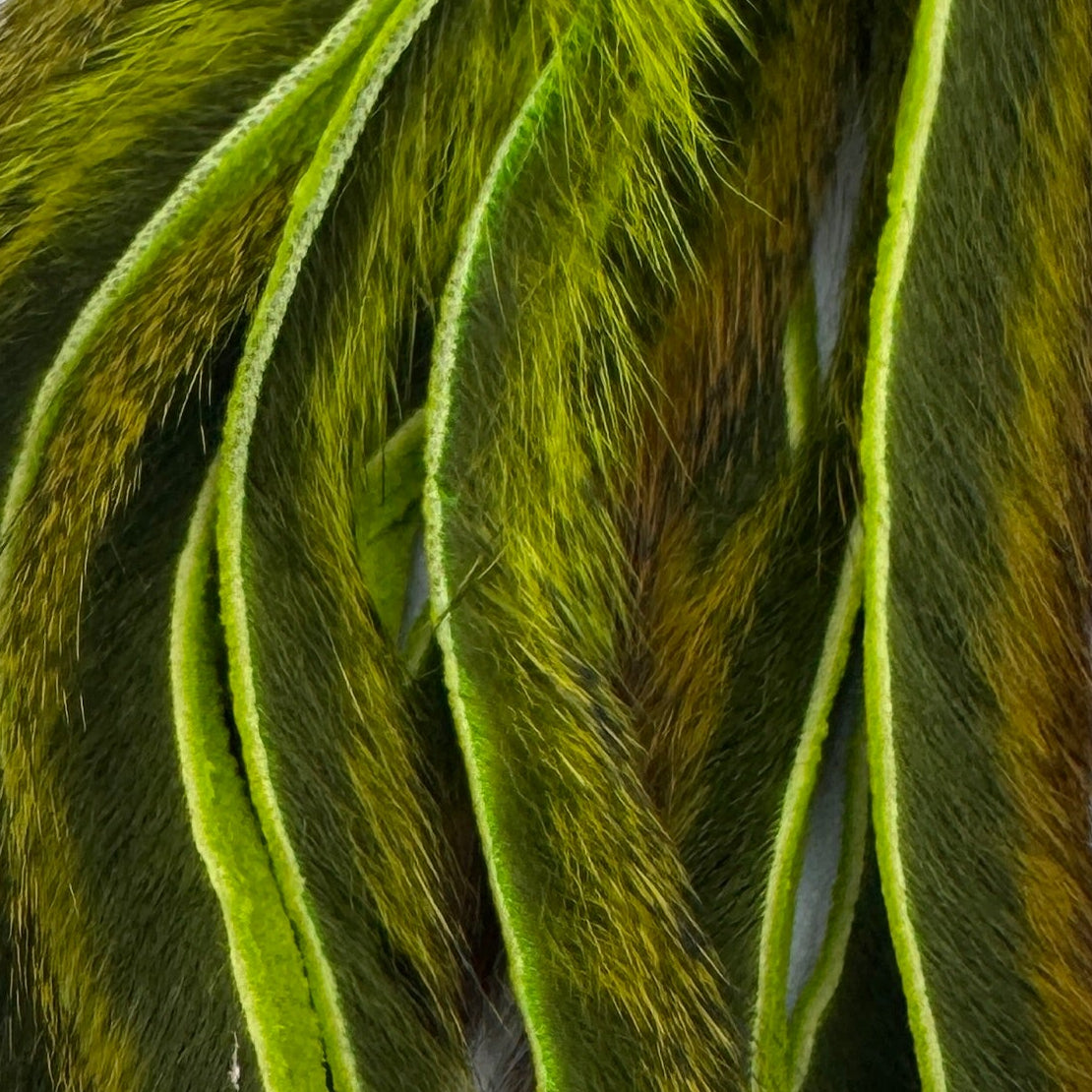 Chartreuse Pine Squirrel Skins Zonked for Fly Tying