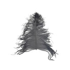 Dun Large Ostrich Plume for Fly Tying