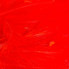 Fl Fire Orange Saltwater Neck Hackle for Fly Tying