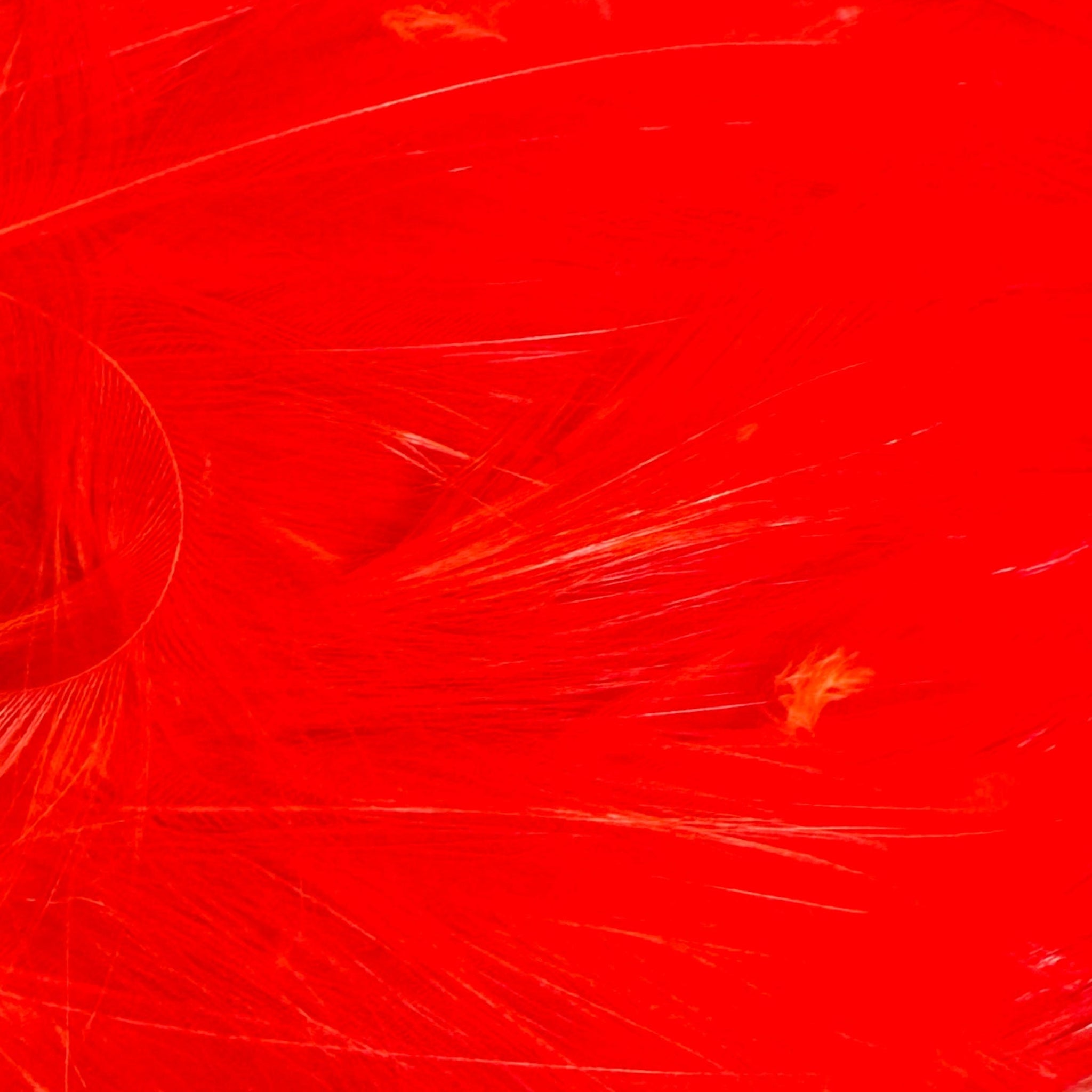 Fl Fire Orange Saltwater Neck Hackle for Fly Tying