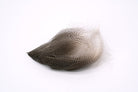 Bulk Gadwall Flank by Feather Craft Fly Fishing